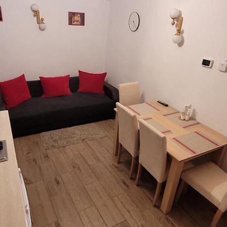 Apartament Miruna Sibiu Filarmonicii Kültér fotó